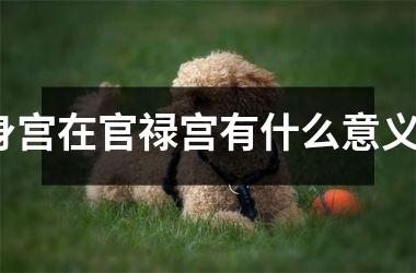 <h3>身宫在官禄宫有什么意义？