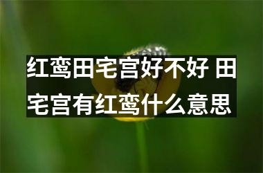 <h3>红鸾田宅宫好不好 田宅宫有红鸾什么意思