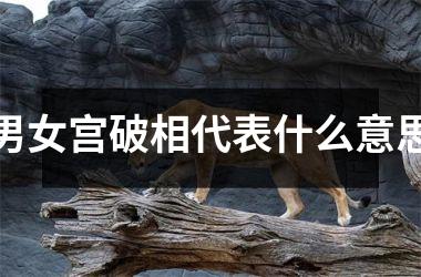 男女宫破相代表什么意思