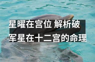 <h3>星曜在宫位 解析破军星在十二宫的命理