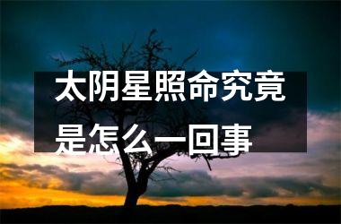 <h3>太阴星照命究竟是怎么一回事