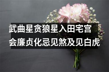 <h3>武曲星贪狼星入田宅宫 会廉贞化忌见煞及见白虎