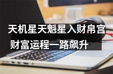 <h3>天机星天魁星入财帛宫 财富运程一路飙升