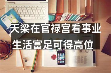 <h3>天梁在官禄宫看事业 生活富足可得高位