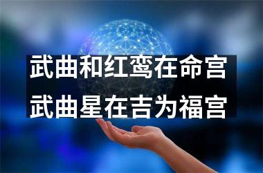 <h3>武曲和红鸾在命宫 武曲星在吉为福宫