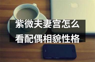 <h3>紫微夫妻宫怎么看配偶相貌性格