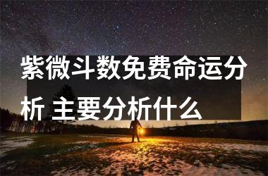 <h3>紫微斗数免费命运分析 主要分析什么