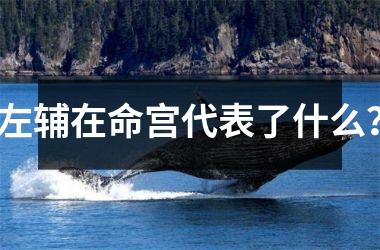 <h3>左辅在命宫代表了什么？