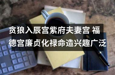 <h3>贪狼入辰宫紫府夫妻宫 福德宫廉贞化禄命造兴趣广泛