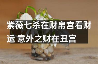 <h3>紫薇七杀在财帛宫看财运 意外之财在丑宫