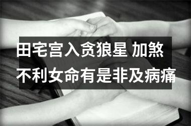 <h3>田宅宫入贪狼星 加煞不利女命有是非及病痛