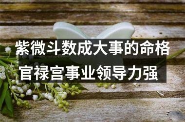 <h3>紫微斗数成大事的命格 官禄宫事业领导力强