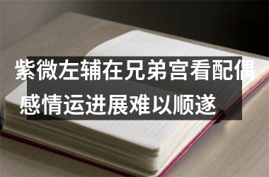 紫微左辅在兄弟宫看配偶 感情运进展难以顺遂