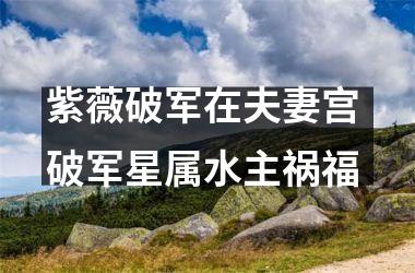 <h3>紫薇破军在夫妻宫 破军星属水主祸福