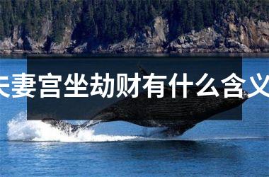 <h3>夫妻宫坐劫财有什么含义？