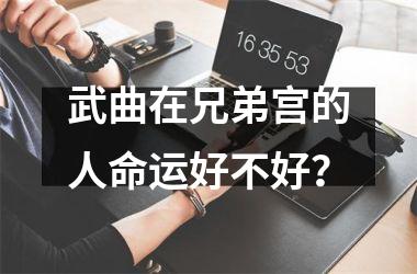 <h3>武曲在兄弟宫的人命运好不好？