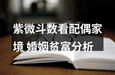 <h3>紫微斗数看配偶家境 婚姻贫富分析