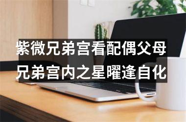 <h3>紫微兄弟宫看配偶父母 兄弟宫内之星曜逢自化
