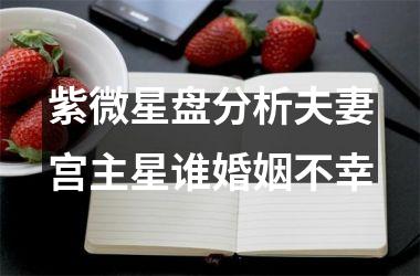 <h3>紫微星盘分析夫妻宫主星谁婚姻不幸