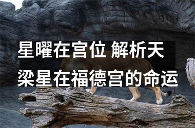 <h3>星曜在宫位 解析天梁星在福德宫的命运