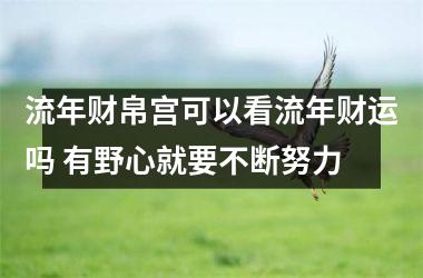 <h3>流年财帛宫可以看流年财运吗 有野心就要不断努力