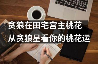 <h3>贪狼在田宅宫主桃花 从贪狼星看你的桃花运