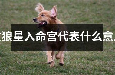<h3>贪狼星入命宫代表什么意思