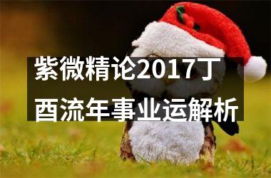 <h3>紫微精论2017丁酉流年事业运解析