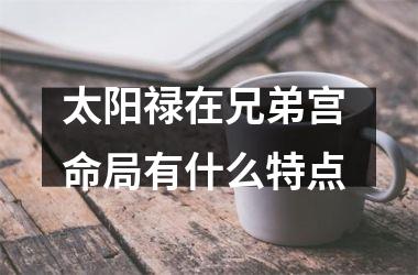 太阳禄在兄弟宫 命局有什么特点