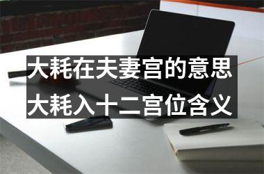 <h3>大耗在夫妻宫的意思 大耗入十二宫位含义