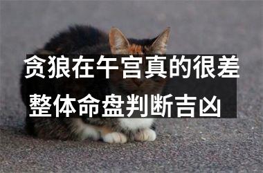 <h3>贪狼在午宫真的很差 整体命盘判断吉凶