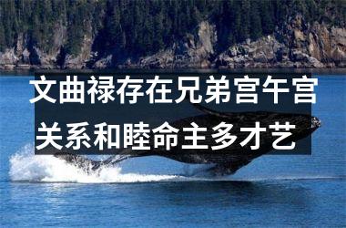 文曲禄存在兄弟宫午宫 关系和睦命主多才艺