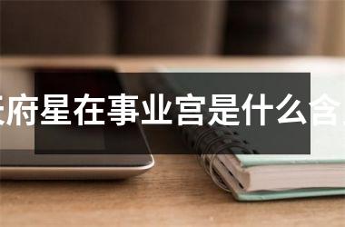 天府星在事业宫是什么含义