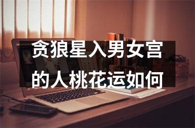 <h3>贪狼星入男女宫的人桃花运如何