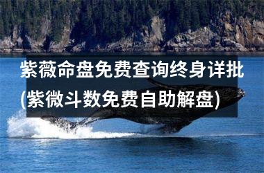 <h3>紫薇命盘免费查询终身详批(紫微斗数免费自助解盘)