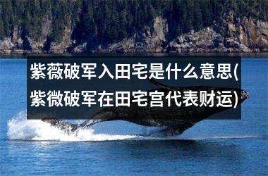 紫薇破军入田宅是什么意思(紫微破军在田宅宫代表财运)