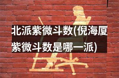 北派紫微斗数(倪海厦紫微斗数是哪一派)