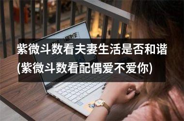 <h3>紫微斗数看夫妻生活是否和谐(紫微斗数看配偶爱不爱你)