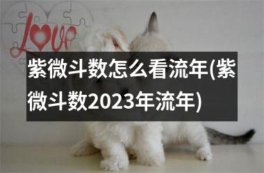 <h3>紫微斗数怎么看流年(紫微斗数2025年流年)