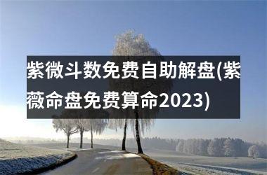 <h3>紫微斗数免费自助解盘(紫薇命盘免费算命2025)
