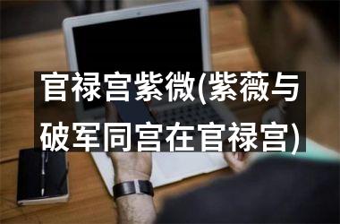 <h3>官禄宫紫微(紫薇与破军同宫在官禄宫)