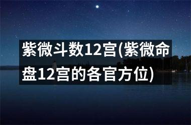 <h3>紫微斗数12宫(紫微命盘12宫的各位)