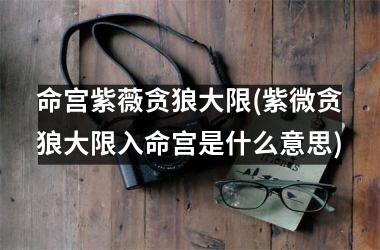 命宫紫薇贪狼大限(紫微贪狼大限入命宫是什么意思)