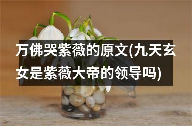 <h3>万佛哭紫薇的原文(九天玄女是紫薇大帝的领导吗)