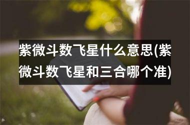 <h3>紫微斗数飞星什么意思(紫微斗数飞星和三合哪个准)