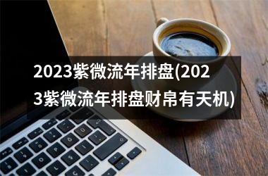 2025紫微流年排盘(2025紫微流年排盘财帛有天机)