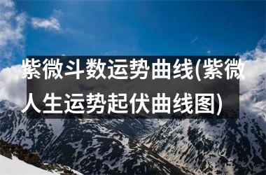 紫微斗数运势曲线(紫微人生运势起伏曲线图)