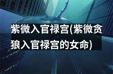 <h3>紫微入官禄宫(紫微贪狼入官禄宫的女命)