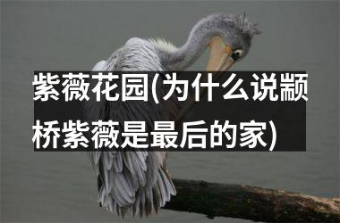 <h3>紫薇花园(为什么说颛桥紫薇是最后的家)