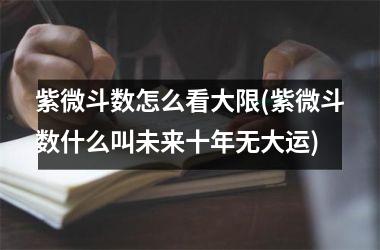 <h3>紫微斗数怎么看大限(紫微斗数什么叫未来十年无大运)